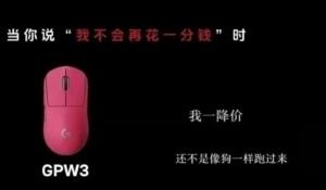 罗技侮辱性广告涉事公司被罚20万 曾把用户比作狗