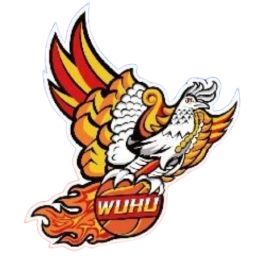 芜湖市首发阵容